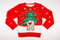 dogs-in-ugly-christmas-sweathers – Motley News, Photos and Fun